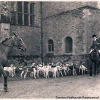The Hunt